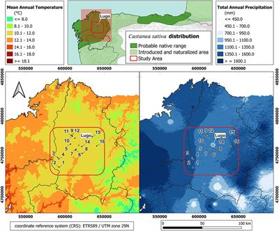 The impact of the Asian chestnut gall wasp (Dryocosmus kuriphilus) on chestnut tree growth may be mediated by site resources